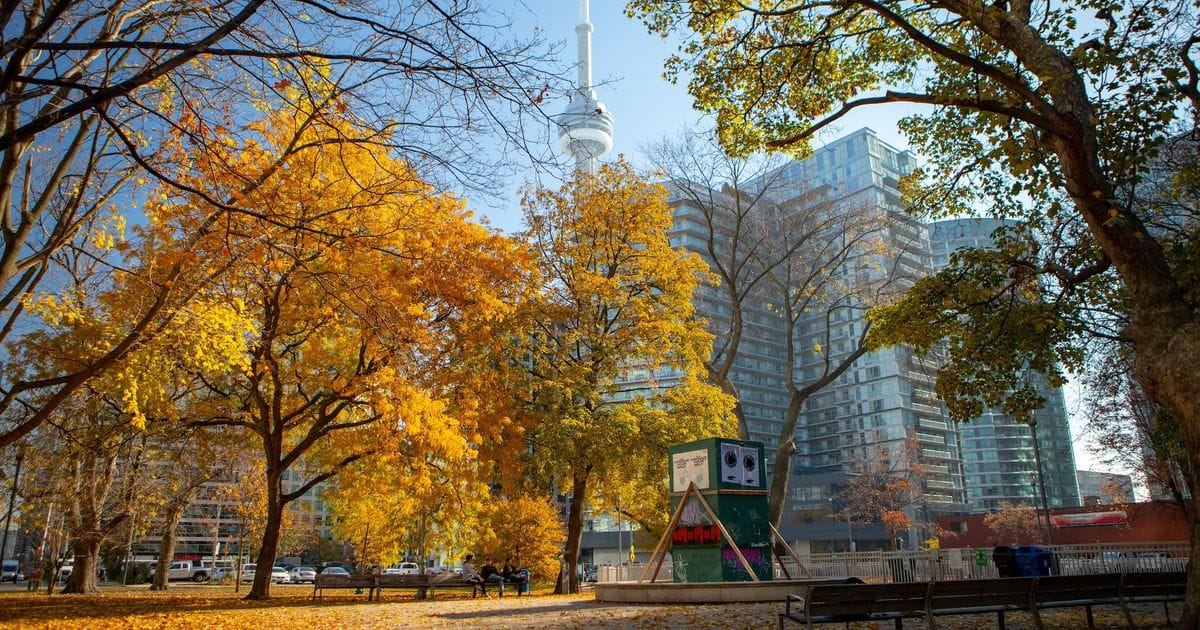 Old Farmer's Almanac releases long-range October 2026 weather forecast for Ontario